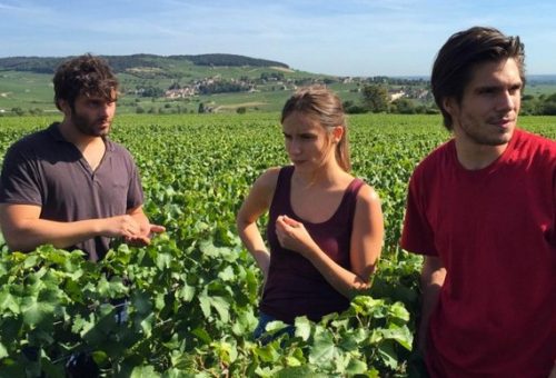 Ritorno in Borgogna. La passione del vino e la forza della famiglia nel nuovo film di Klapisch