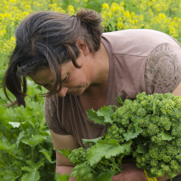 Boom di costi, serve un’agricoltura meno dipendente da fertilizzanti chimici e pesticidi